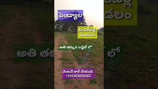 #179 తక్కువ బడ్జెట్ లో ఇళ్ల స్థలాలు | పెండ్యాల, కంచికచర్ల మండలం #kanchikacherla #paritala #pendyala