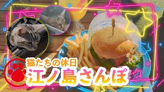 【猫たちの休日】江ノ島さんぽ🐈🐈MAHALO 江ノ島店でランチ🍔🍛