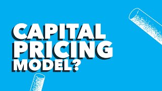 Capital Asset Pricing Model - What does it mean and what is it?