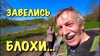 ВИТЕ НУЖЕН СОВЕТ. Новый парник. Ступени уже скоро.