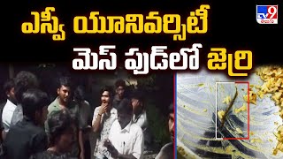 Tirupati : ఎస్వీ యూనివర్సిటీ మెస్‌ ఫుడ్ లో జెర్రి | Sri Venkateswara University | TV9