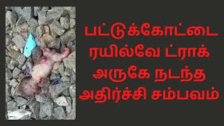 பட்டுக்கோட்டை ரயில்வே டிராக் அருகே நடந்த அதிர்ச்சி சம்பவம்_பொதுமக்கள் வேதனை.