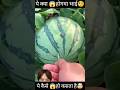 Best Watermelon 🍉 Life Hacks || Art Skill #mrindianhacker #5minutecrafts #shortsvideos720p #viral