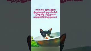 துன்பம் பறந்து விடும்.#motivation #tamil #true #best #kavithai #cat #love #happy #sad