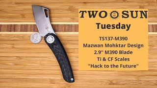 TwoSun Tuesday: TS137 Mazwan Mohktar Design in M390 (Knife Content)