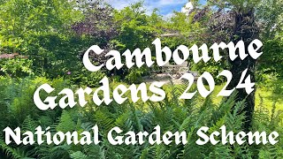 Cambourne open Garden 2024, National Garden Scheme, Gardens open for Charity