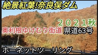 【奈良俣ダム】奥利根ゆけむり街道!絶景紅葉2021秋ホーネットツーリング県道63号