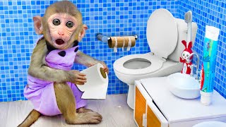 🙈Baby Monkey Bi Bon goes to the toilet and eats fruits with Puppy So cute |Animal HT Bon Bon Monkey