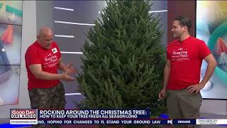 How To Keep Your Christmas Tree Fresh FOX 35 Orlando