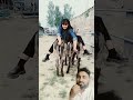 #horse #donkey #goat #animals #donkeyfarm #equestrian #funny #abdekhkhudakiakartahai #funnyvideos