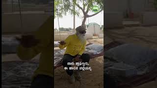 ಏಕೆ ಹಸುವಿನ ಸಗಣಿ ಹಾಲಿಗಿಂತ ಹೆಚ್ಚು ಅಮೂಲ್ಯ