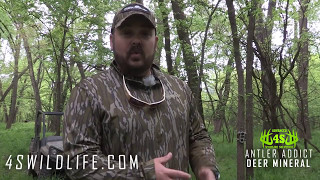 Dirt Road Outdoors: Antler Addict