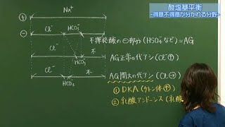 「リフレーミング臓器別」合否を分ける分野別　感染症【MEC on TV】