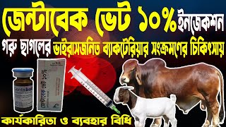 Gentabac Vet 10% | গবাদি প্রাণীর ডায়রিয়া এবং ব্যাকটেরিয়া জনিত অন্ত্রের সংক্রমণের কার্যকারী ঔষধ |