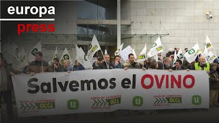 UCCL avisa que, si bajan los precios de la leche de ovino, el 50% de las explotaciones cerrarán