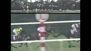 マヤノトップガン 1995年 第43回京都新聞杯(GII)  (優勝馬：ナリタキングオー) (実況：ラジオたんぱ版)