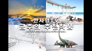 2023.01.30/한사영TV 금주의 추천작품/뉴질랜드사진여행