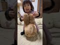 何回もチャレンジ！！！ shorts 平和な日常 1歳 愛娘 3歳 おもしろ動画 子どものいる暮らし