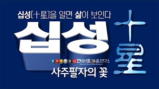 사주팔자 십성론[十星論] 해석