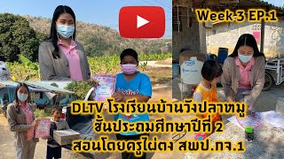 DLTV ครูไผ่ตง week 3 EP.1 โรงเรียนบ้านวังปลาหมู