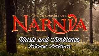 The Chronicles of Narnia Music & Ambience | Forest Sounds with Movie Soundtrack •ASMR• [1h]