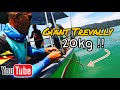 GIANT TREVALLY 20kg BERJAYA DITAWAN | Rod Patah?? Reel Tercabut?? TRIP 1001 KEJADIAN !! (02/2024)