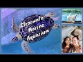 Clearwater Marine Aquarium 2023 - It's worth a visit!