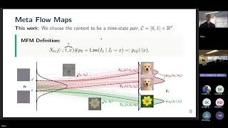 Meta Flow Maps
