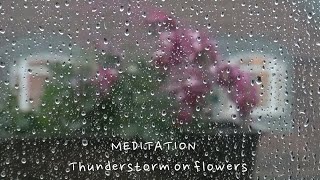 [MEDITATION]  푹 자고싶은 날 듣는 천둥번개 빗소리 9시간연속재생 수면유도 Thunderstorm on flowers 9hours ,ASMR