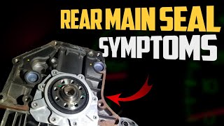 4 Signs of a Rear Main Seal Leak \u0026 Replacement Cost