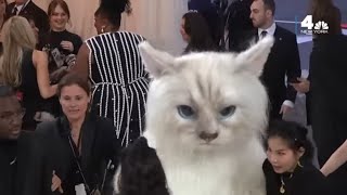 Jared Leto SURPRISES Lizzo, 2023 Met Gala Guests in Giant Cat Costume