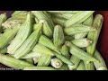 Quick Pickled Refrigerator Okra Recipe - Easy! - EatSimpleFood.com