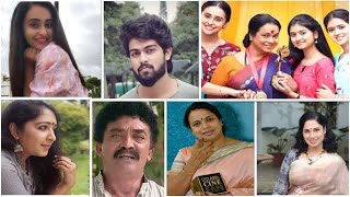Puttakkana Makkalu | Sanjana Burli, Ameeta Kulal, Akshara |  Zee Tv Serial |