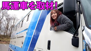 【大型トラック】競走馬を運ぶトラック『馬運車』を取材！！（前編）