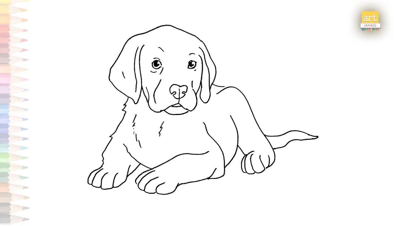 How To Draw Lab Puppy