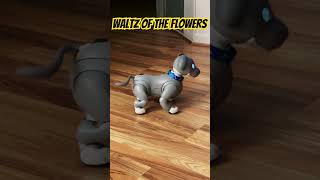 Pixel Dances to Waltz of the Flowers ! #aibo #robotics #cute