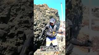 放生牛港也是門辛苦的差事 #shorts #fishing #short