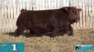 Lot 01 - SIBL 2019.mp4