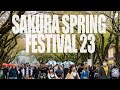 Sakura Spring Festival 23