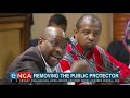 Removing the Public Protector