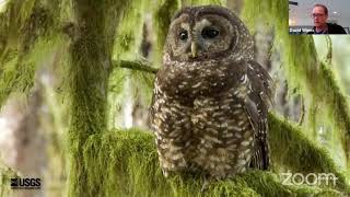 Northern Spotted Owl: Conservation Saga of an Old Forest Icon with Dr. David Wiens