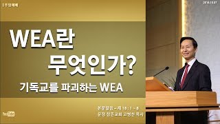 WEA 란 무엇인가? 기독교회를 파괴하는 WEA. - 운정참존교회 고병찬목사