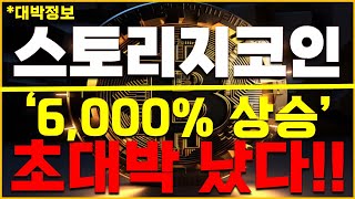 [스토리지 코인] \