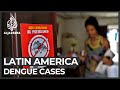 Dengue fever crisis grips Latin America