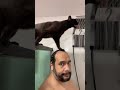 Funny Cat Interrupts Man's Shower! 😹🧼