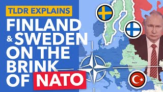 Why Turkey Suddenly Approved Finland & Sweden Joining NATO