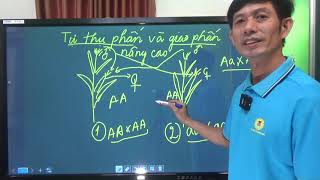 Tự thụ phấn và giao phấn ngẫu nhiên nâng cao -Toán lai nâng cao - Bài tập quần thể - Thầy Tập