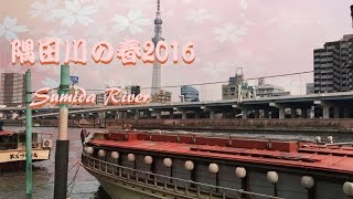 隅田川の春2016 Sumida River video.  kk object