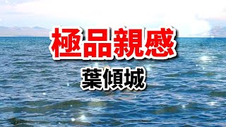 散文《我就是你那位極品親慼》作者葉傾城，生活中真實的你我