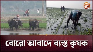 কিশোরগঞ্জে হাওরাঞ্চলে বোরো আবাদে ব্যস্ত কৃষক | Kishorganj News | Channel 24